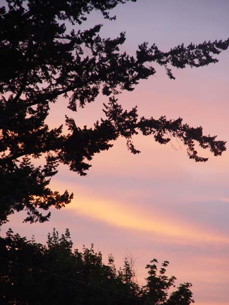 Montanas-Flathead-Lake0860