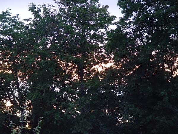 Montanas-Flathead-Lake0861