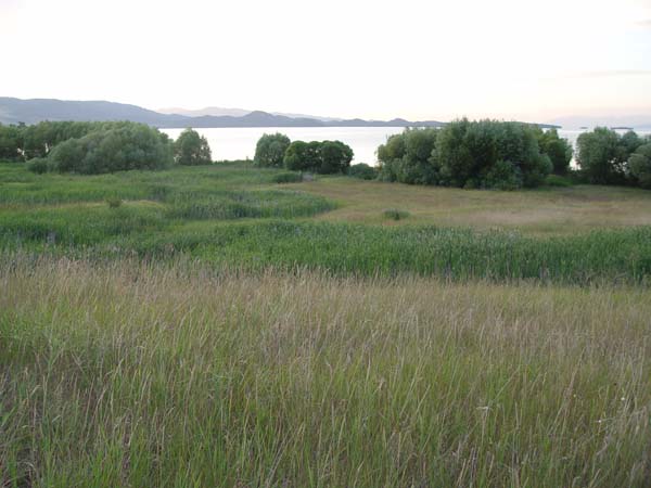 Montanas-Flathead-Lake0889