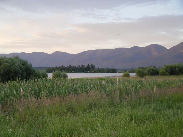 Montanas-Flathead-Lake0893