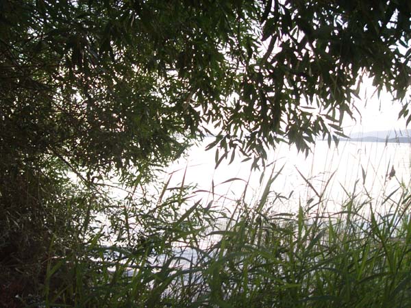 Montanas-Flathead-Lake0907