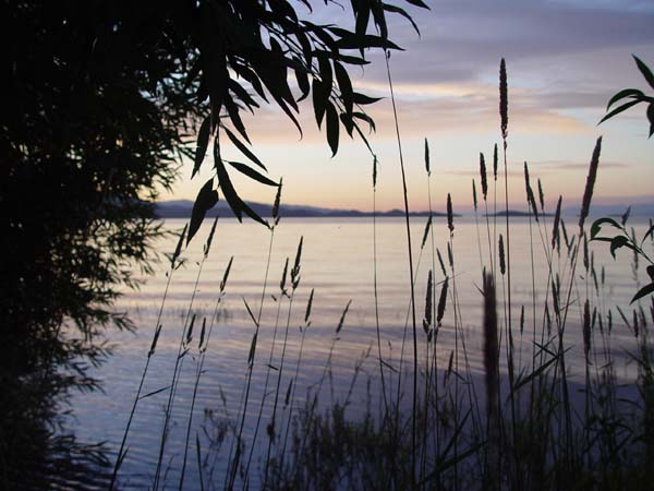 Montanas-Flathead-Lake0908