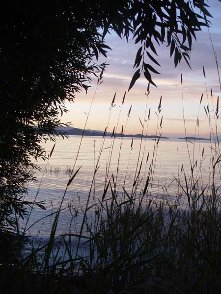 Montanas-Flathead-Lake0909