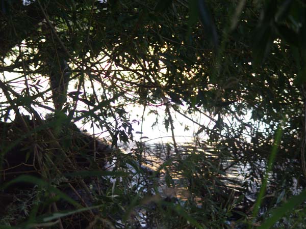 Montanas-Flathead-Lake0910