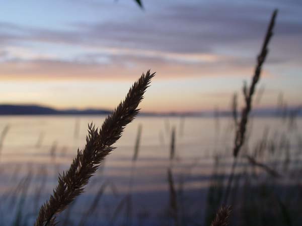 Montanas-Flathead-Lake0915