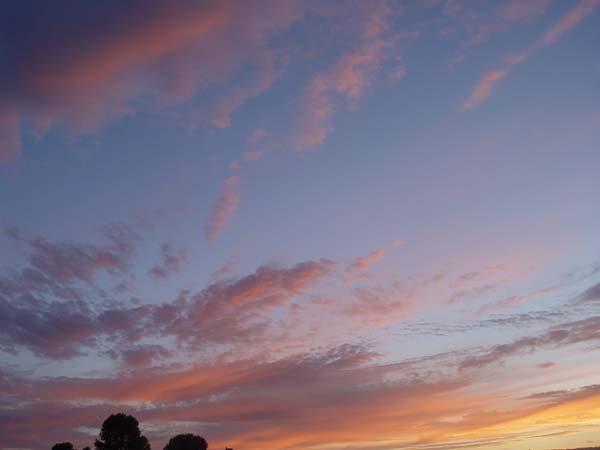 Montanas-Flathead-Lake0932