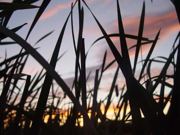 Montanas-Flathead-Lake0934