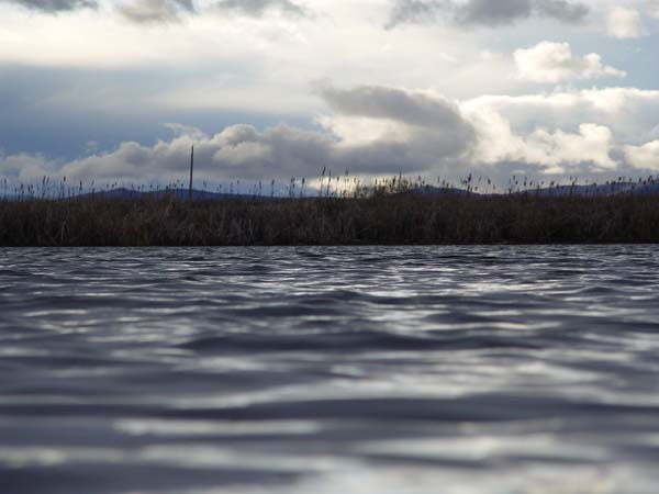 Montanas-Flathead-Lake1003