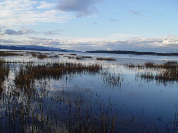 Montanas-Flathead-Lake1012