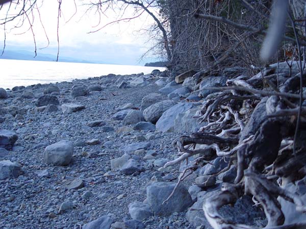 Montanas-Flathead-Lake1021