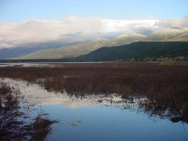 Montanas-Flathead-Lake1022
