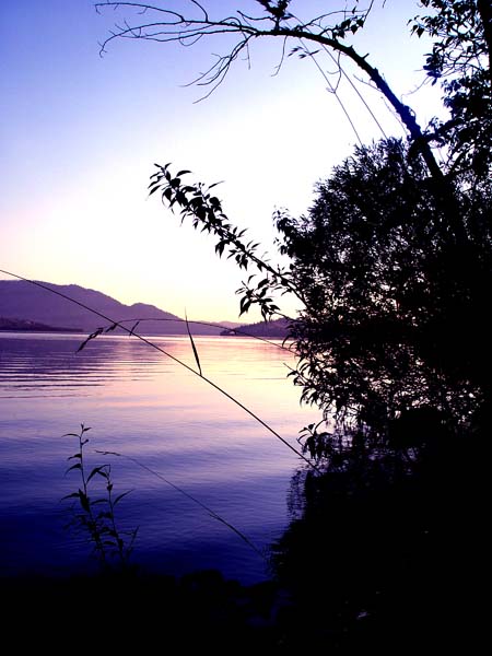 Montanas-Flathead-Lake1031