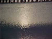 Montanas-Flathead-Lake0007