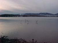 Montanas-Flathead-Lake0047