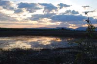 Montanas-Flathead-Lake0049