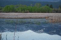 Montanas-Flathead-Lake0050