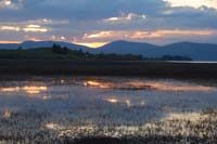 Montanas-Flathead-Lake0052