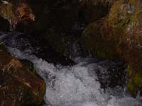 Montanas-Flathead-Lake0088