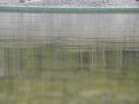 Montanas-Flathead-Lake0126