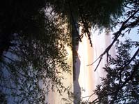 Montanas-Flathead-Lake0133