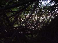 Montanas-Flathead-Lake0136