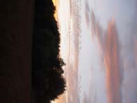 Montanas-Flathead-Lake0141