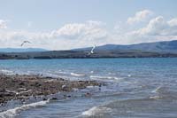 Montanas-Flathead-Lake0223