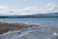 Montanas-Flathead-Lake0225