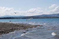 Montanas-Flathead-Lake0226