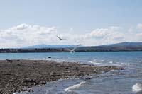Montanas-Flathead-Lake0227