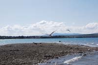 Montanas-Flathead-Lake0228