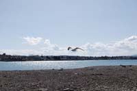 Montanas-Flathead-Lake0229