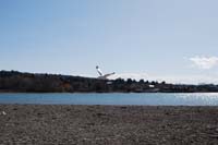 Montanas-Flathead-Lake0231