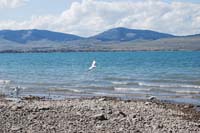 Montanas-Flathead-Lake0247