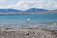 Montanas-Flathead-Lake0248