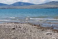 Montanas-Flathead-Lake0250