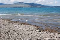 Montanas-Flathead-Lake0254