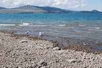 Montanas-Flathead-Lake0255