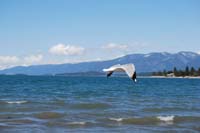 Montanas-Flathead-Lake0260