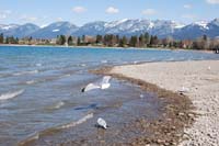 Montanas-Flathead-Lake0262