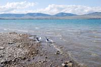 Montanas-Flathead-Lake0273