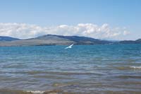 Montanas-Flathead-Lake0285