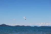 Montanas-Flathead-Lake0293