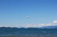 Montanas-Flathead-Lake0294