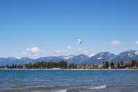Montanas-Flathead-Lake0298