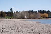 Montanas-Flathead-Lake0305