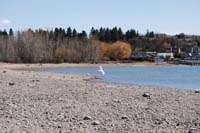 Montanas-Flathead-Lake0306