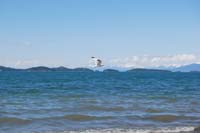 Montanas-Flathead-Lake0312