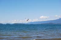 Montanas-Flathead-Lake0313