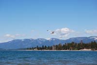Montanas-Flathead-Lake0315